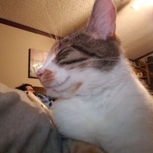 Meet your Posher, Beckey